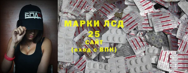 ПСИЛОЦИБИНОВЫЕ ГРИБЫ Абаза