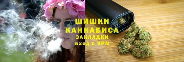 ПСИЛОЦИБИНОВЫЕ ГРИБЫ Абаза